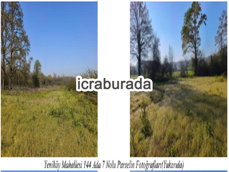 icralık  m2 Tarla Sakarya Söğütlü Yeniköy