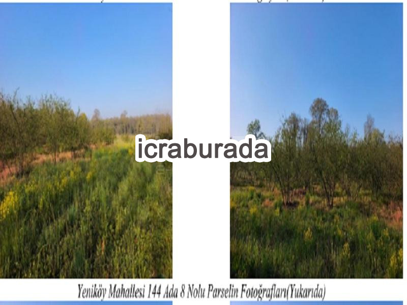 icralık  m2 Tarla Sakarya Söğütlü Yeniköy