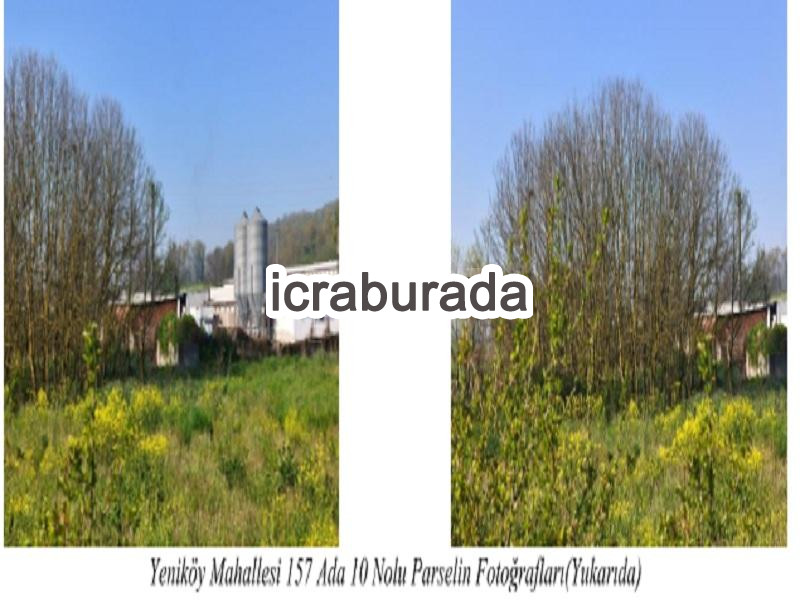 icralık  m2 Tarla Sakarya Söğütlü Yeniköy
