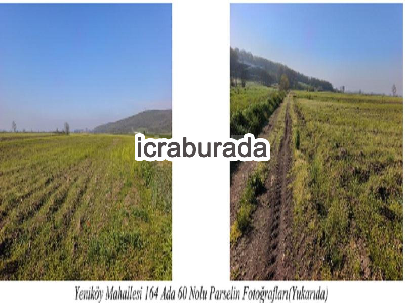 icralık  m2 Tarla Sakarya Söğütlü Yeniköy