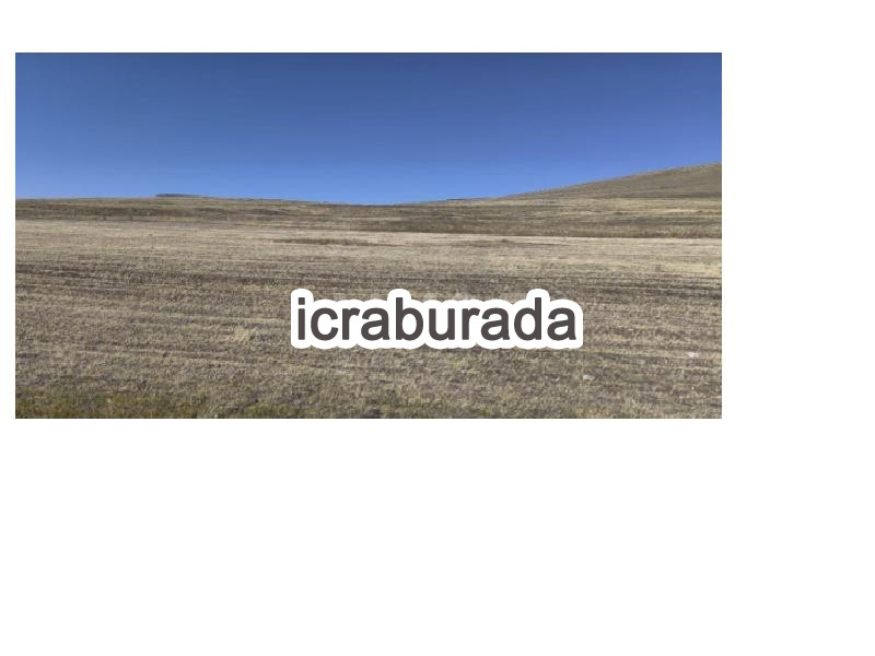 icralık  m2 Tarla Ardahan Çıldır Aşikşenlik/yenimahalle