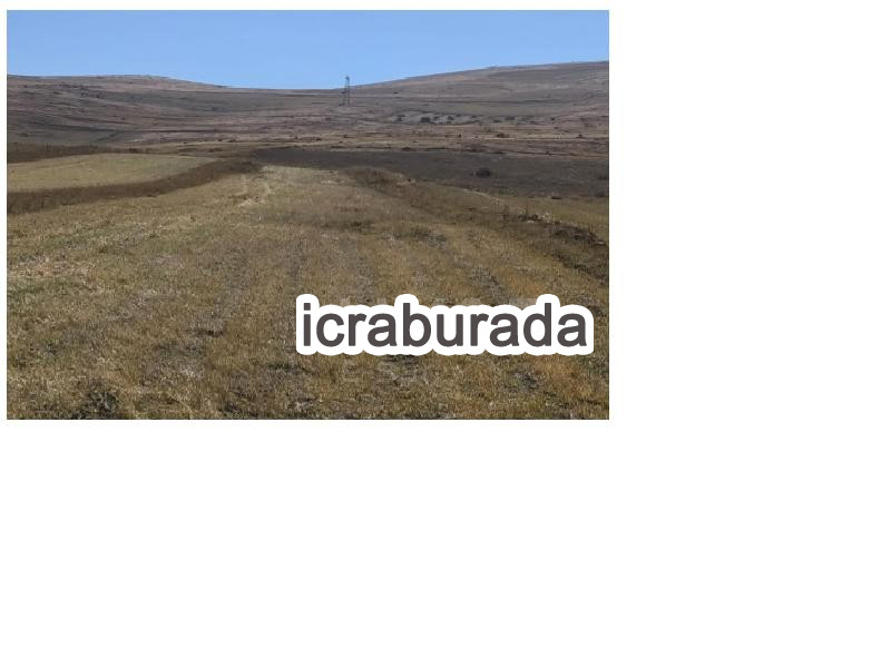 icralık  m2 Tarla Ardahan Çıldır Aşaği Cambaz