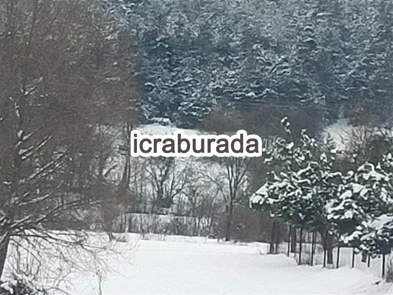 icralık  m2 Tarla Bolu Merkez Ömerler