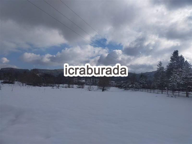 icralık  m2 Tarla Bolu Merkez Ömerler