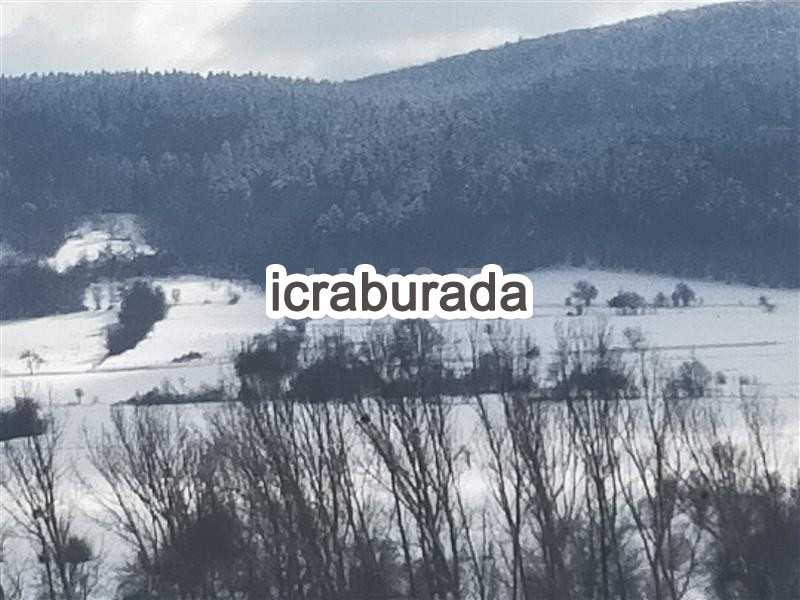 icralık  m2 Tarla Bolu Merkez Ömerler