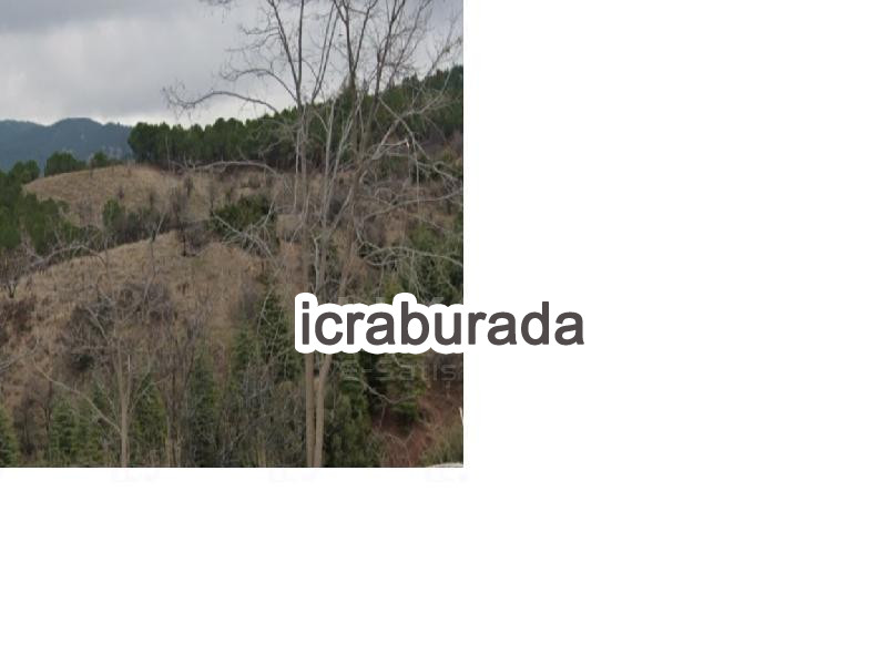 icralık  m2 Tarla Burdur Merkez Askeriye
