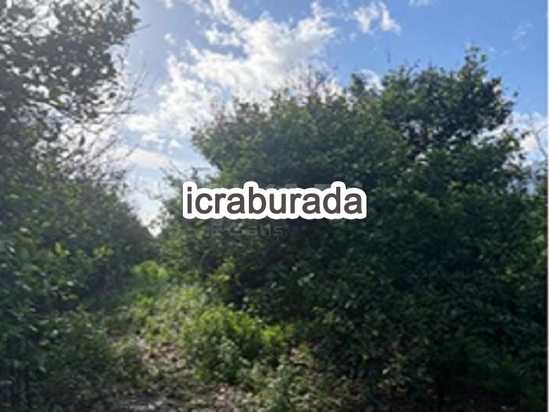 icralık  m2 Tarla Antalya Finike İskele