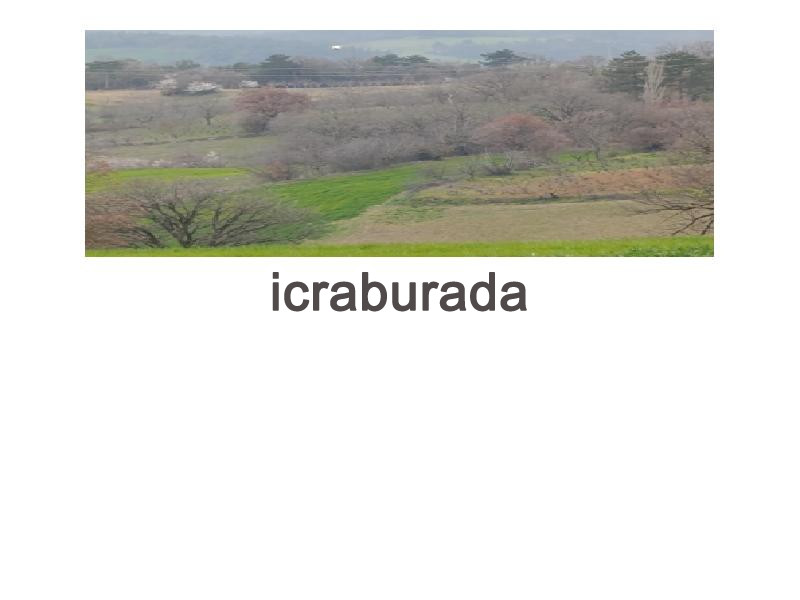 icralık  m2 Tarla Sakarya Geyve Sabirlar