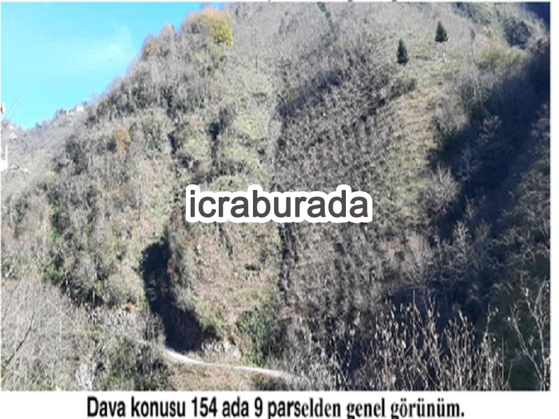 icralık  m2 Diger Giresun Tirebolu Aşağiboynuyoğun