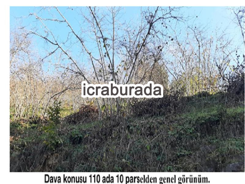 icralık  m2 Diger Giresun Tirebolu Aşağiboynuyoğun