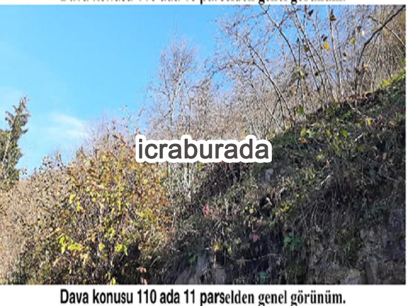 icralık  m2 Diger Giresun Tirebolu Aşağiboynuyoğun