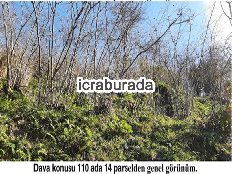 icralık  m2 Diger Giresun Tirebolu Aşağiboynuyoğun