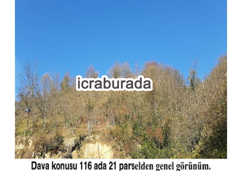 icralık  m2 Diger Giresun Tirebolu Aşağiboynuyoğun