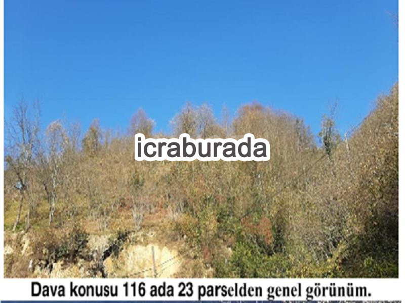 icralık  m2 Diger Giresun Tirebolu Aşağiboynuyoğun