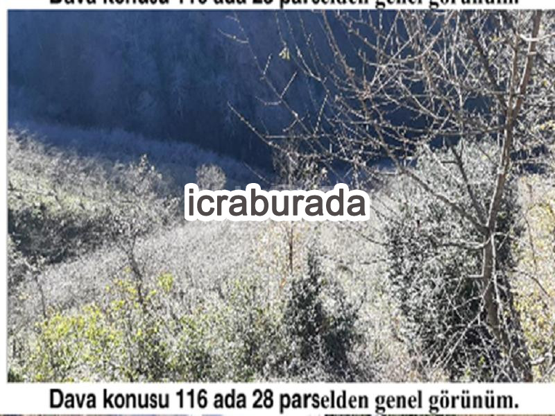 icralık  m2 Diger Giresun Tirebolu Aşağiboynuyoğun