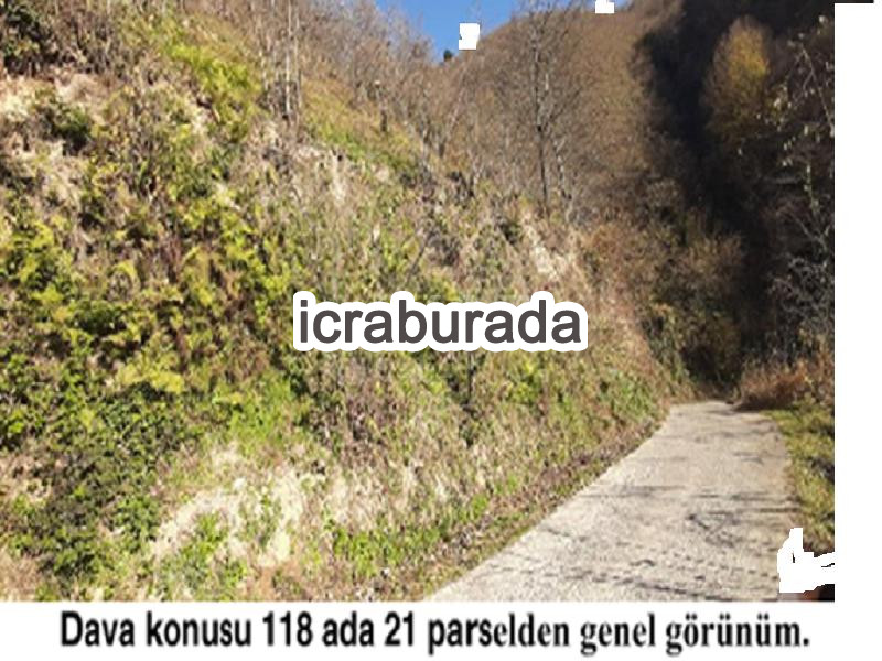 icralık  m2 Diger Giresun Tirebolu Aşağiboynuyoğun