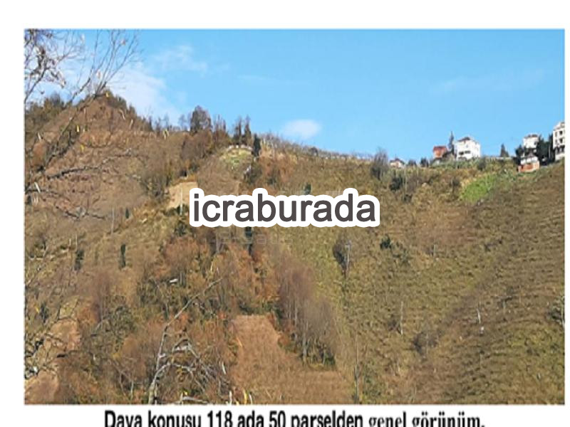 icralık  m2 Diger Giresun Tirebolu Aşağiboynuyoğun