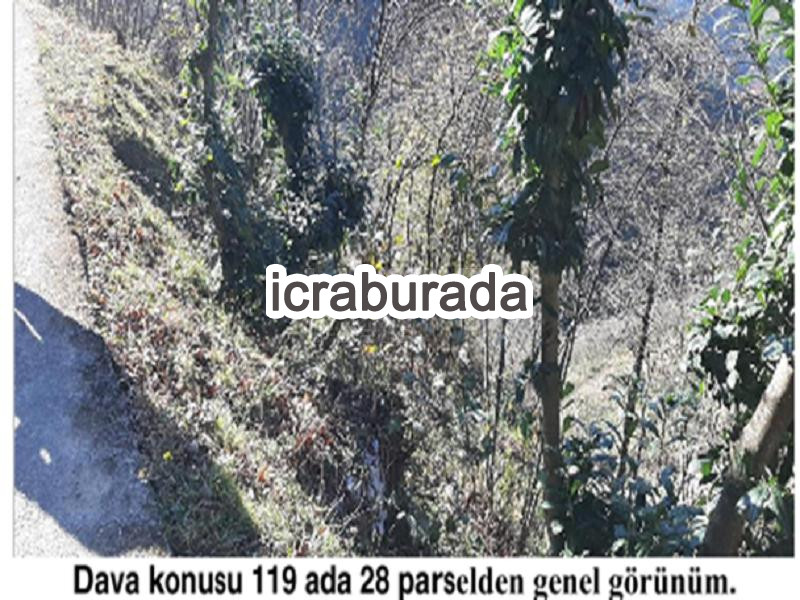 icralık  m2 Diger Giresun Tirebolu Aşağiboynuyoğun