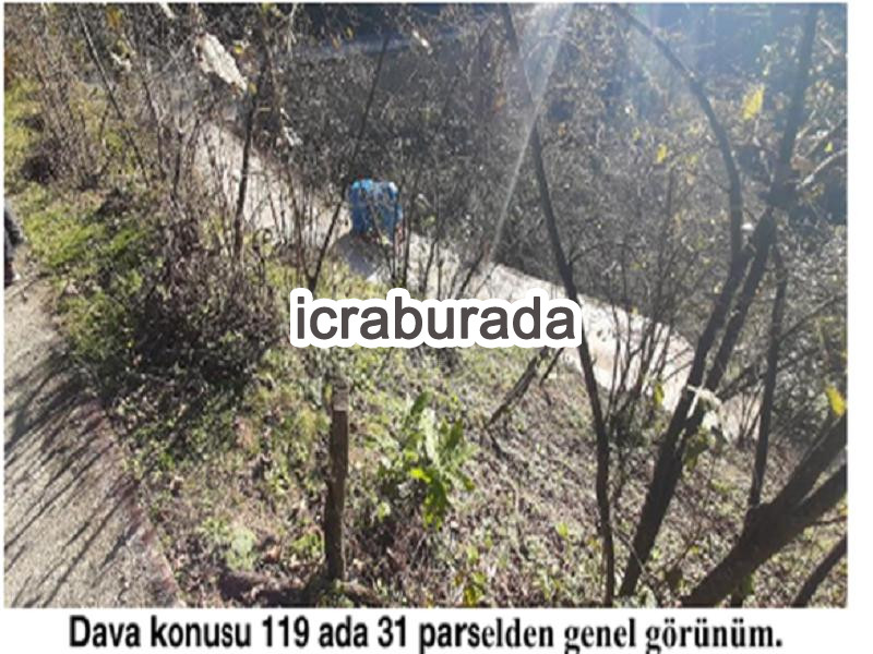 icralık  m2 Diger Giresun Tirebolu Aşağiboynuyoğun