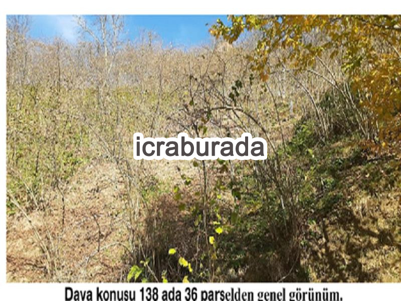 icralık  m2 Diger Giresun Tirebolu Aşağiboynuyoğun