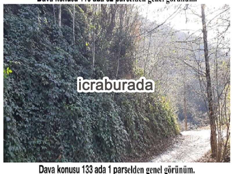 icralık  m2 Diger Giresun Tirebolu Aşağiboynuyoğun