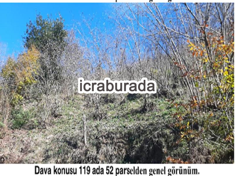 icralık  m2 Diger Giresun Tirebolu Aşağiboynuyoğun