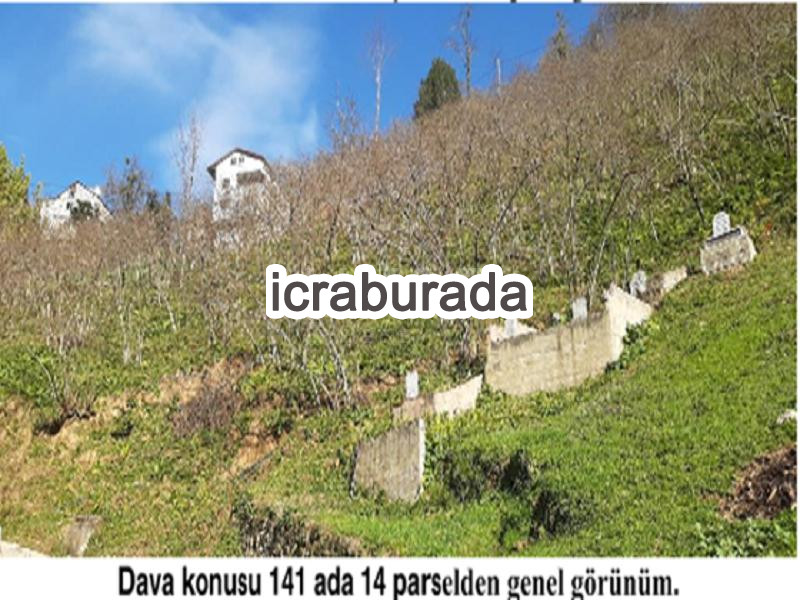 icralık  m2 Diger Giresun Tirebolu Aşağiboynuyoğun