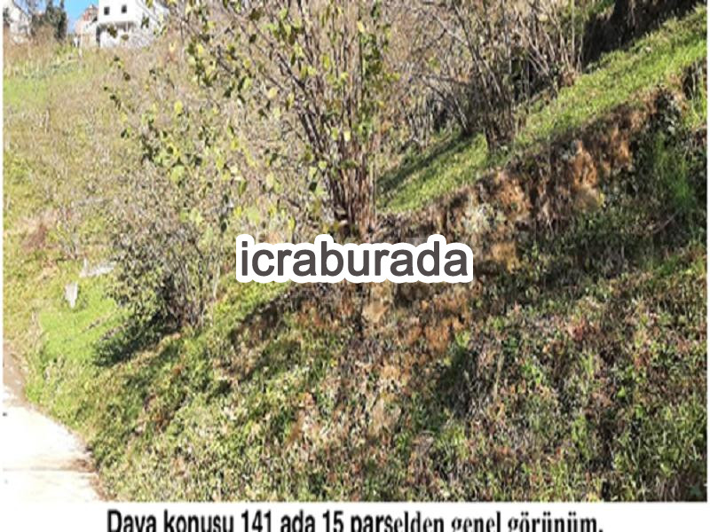 icralık  m2 Diger Giresun Tirebolu Aşağiboynuyoğun