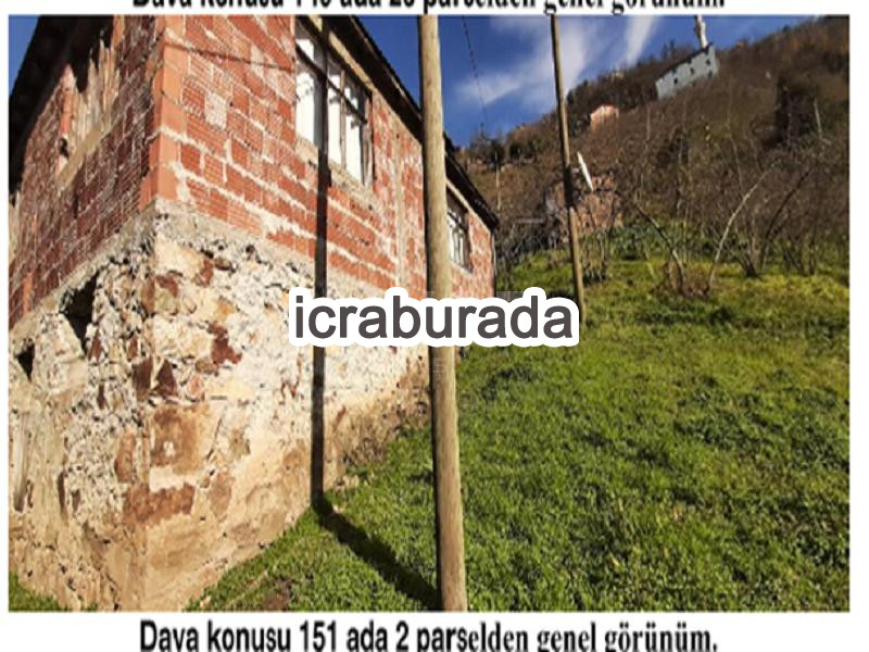 icralık  m2 Diger Giresun Tirebolu Aşağiboynuyoğun