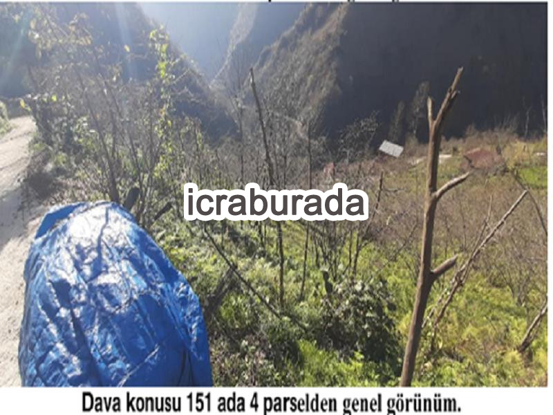 icralık  m2 Diger Giresun Tirebolu Aşağiboynuyoğun