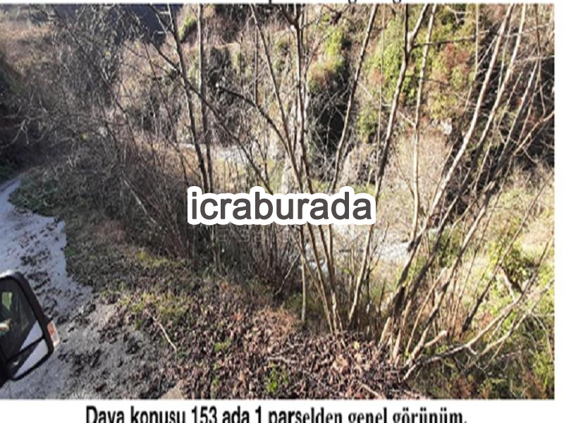 icralık  m2 Diger Giresun Tirebolu Aşağiboynuyoğun