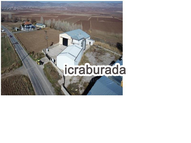 icralık  m2 Diger Sivas Şarkışla Sağir