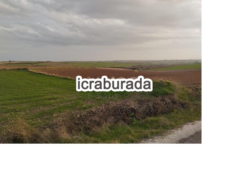 icralık  m2 Tarla Edirne Havsa Azatli
