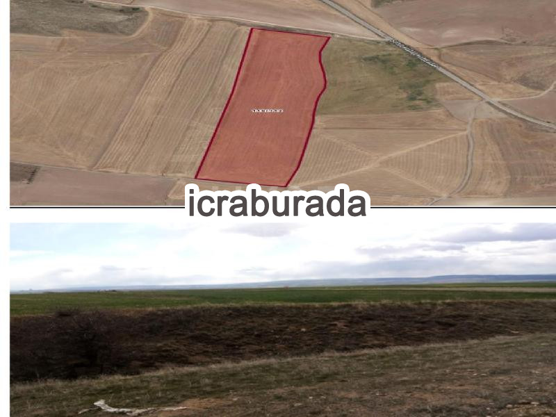 icralık  m2 Tarla Ankara Sincan Temelli/ücret