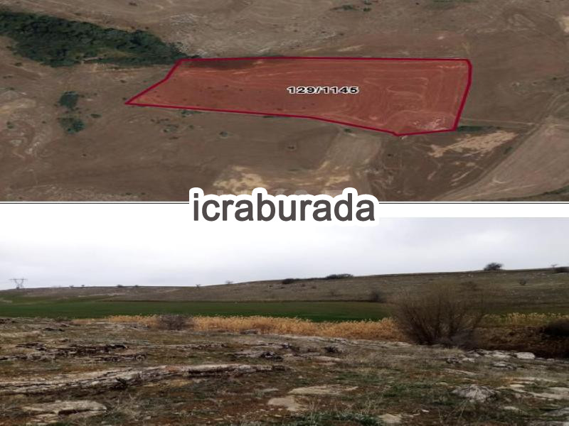 icralık  m2 Tarla Ankara Sincan Temelli/ücret