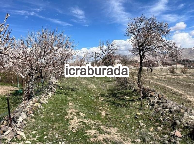 icralık  m2 Bag Niğde Merkez Fertek