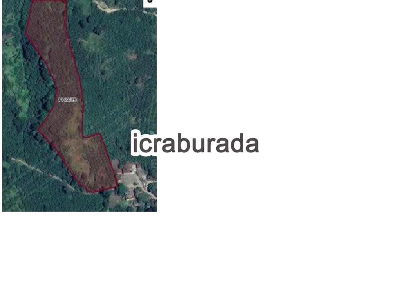 icralık  m2 Tarla Ordu İkizce Yukarikarlitepe