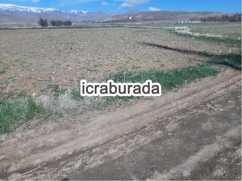 icralık  m2 Tarla Niğde Merkez Güllüce