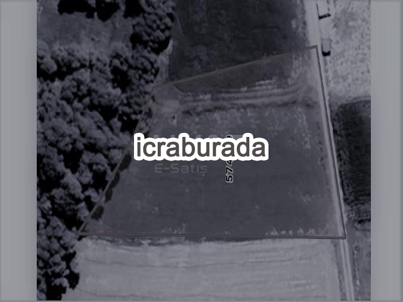 icralık  m2 Tarla Aksaray Gülağaç Demirci/eskicami