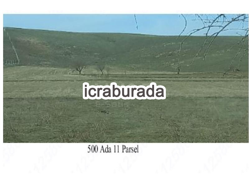 icralık  m2 Tarla Aksaray Gülağaç Demirci/kalealti