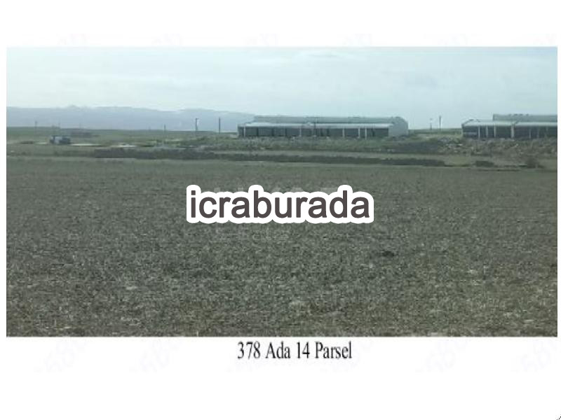 icralık  m2 Tarla Aksaray Gülağaç Demirci/kurtuluş