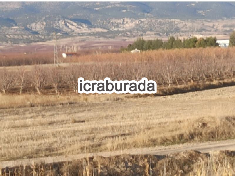 icralık  m2 Tarla Isparta Senirkent Büyükkabaca/sultansüleyman