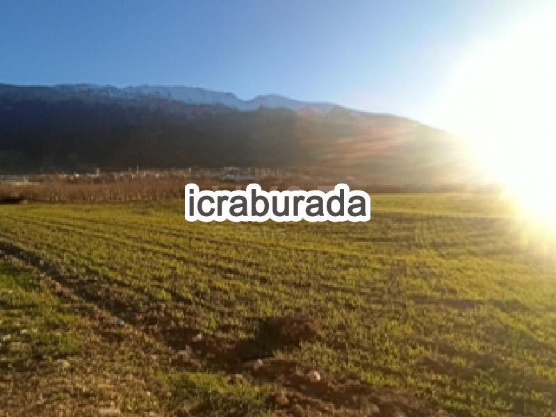 icralık  m2 Tarla Isparta Senirkent Karip