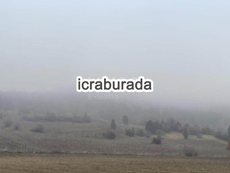 icralık  m2 Tarla Sinop Boyabat Akyörük