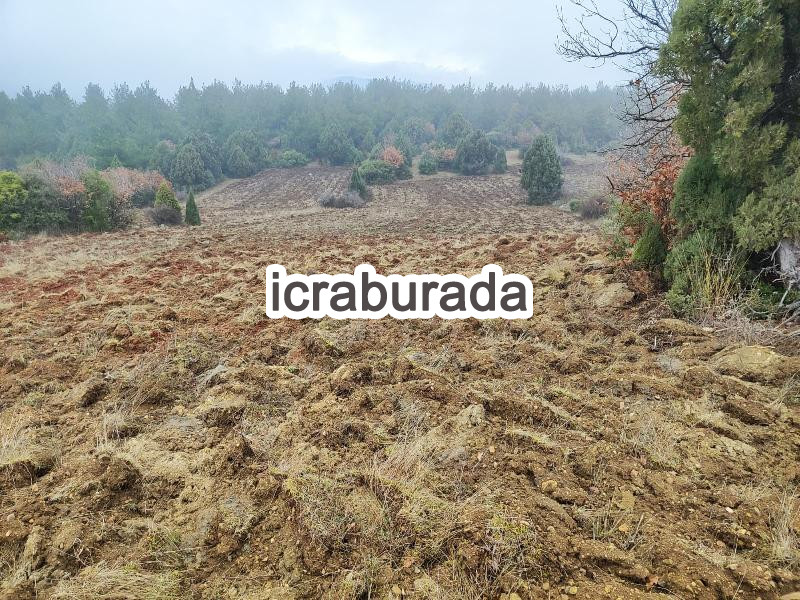 icralık  m2 Tarla Sinop Boyabat Akyörük