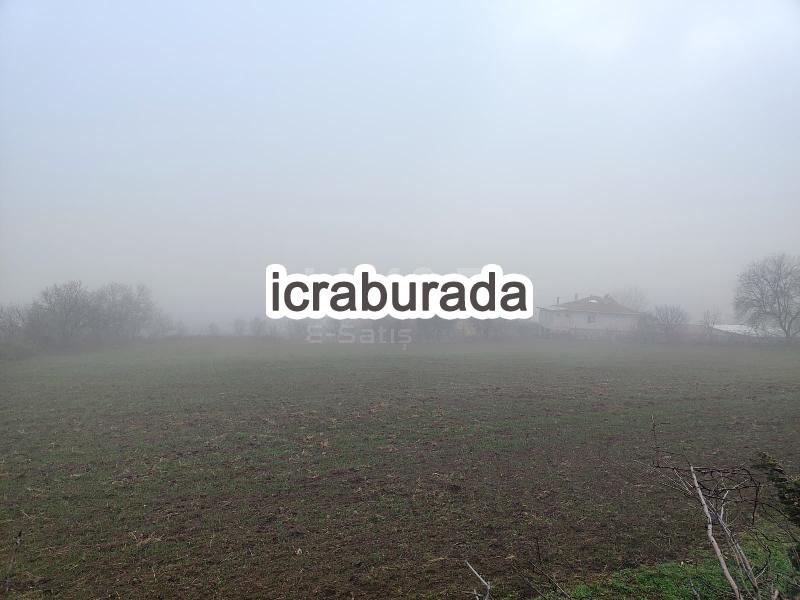 icralık  m2 Tarla Sinop Boyabat Akyörük