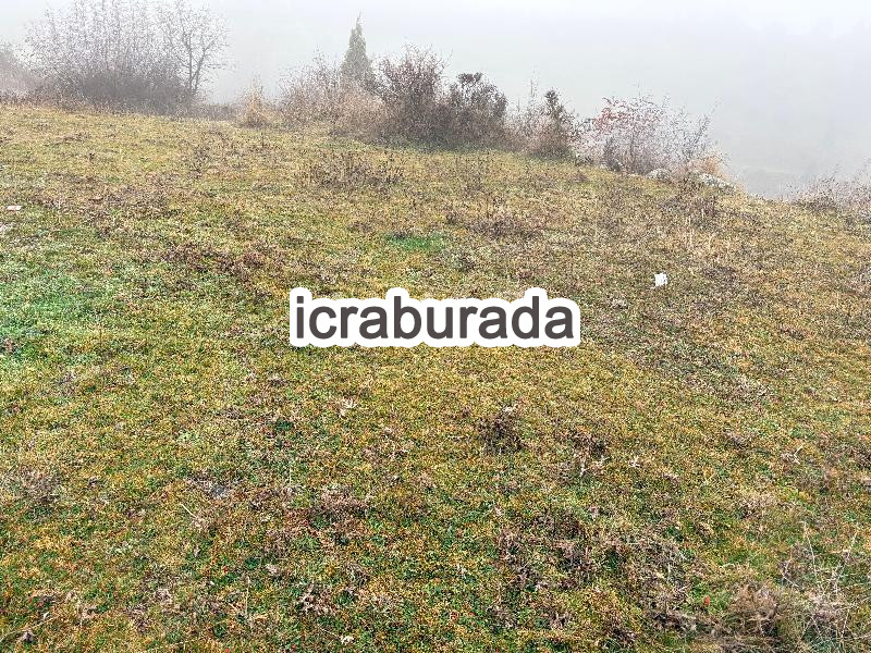 icralık  m2 Diger Sinop Boyabat Akyörük