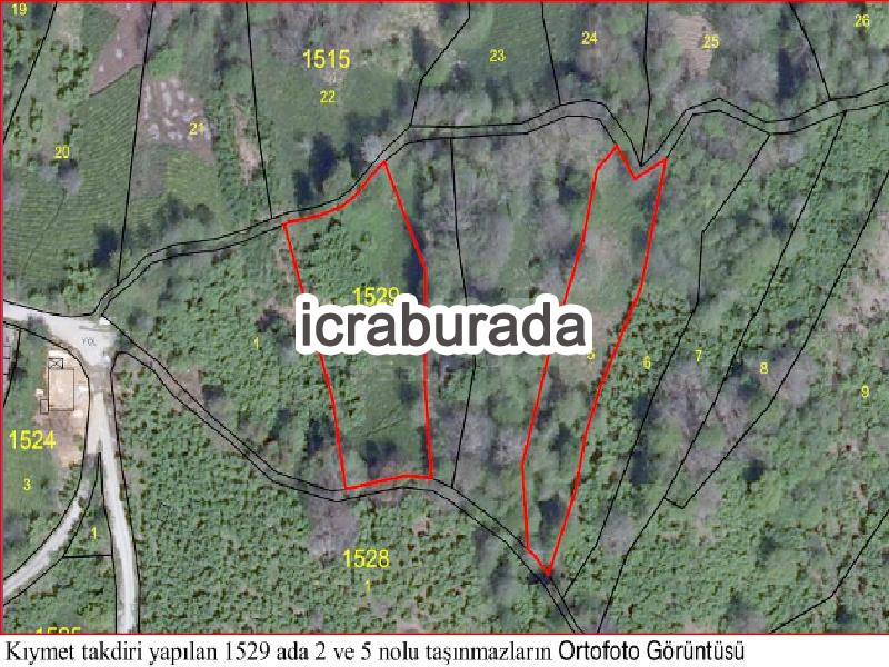 icralık  m2 Diger Trabzon Sürmene Petekli