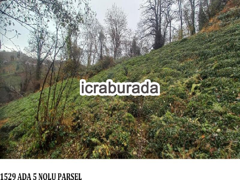 icralık  m2 Diger Trabzon Sürmene Petekli