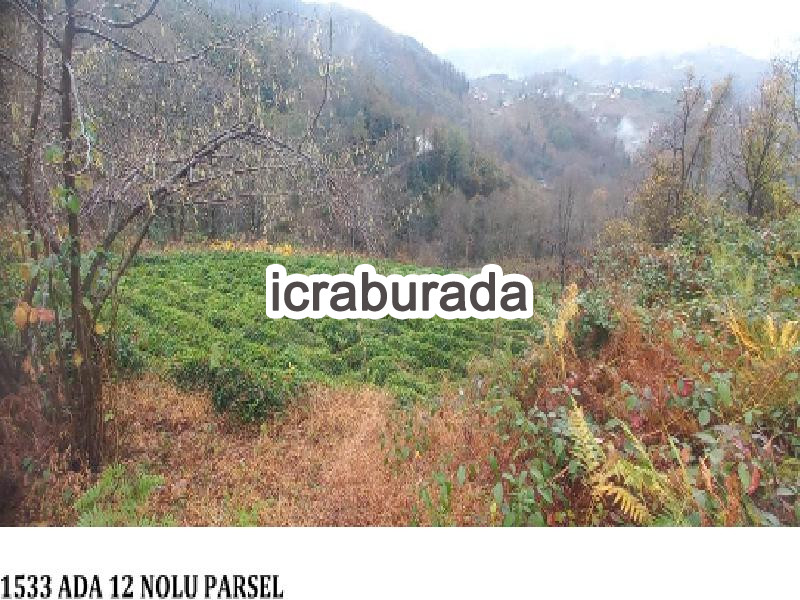 icralık  m2 Diger Trabzon Sürmene Petekli